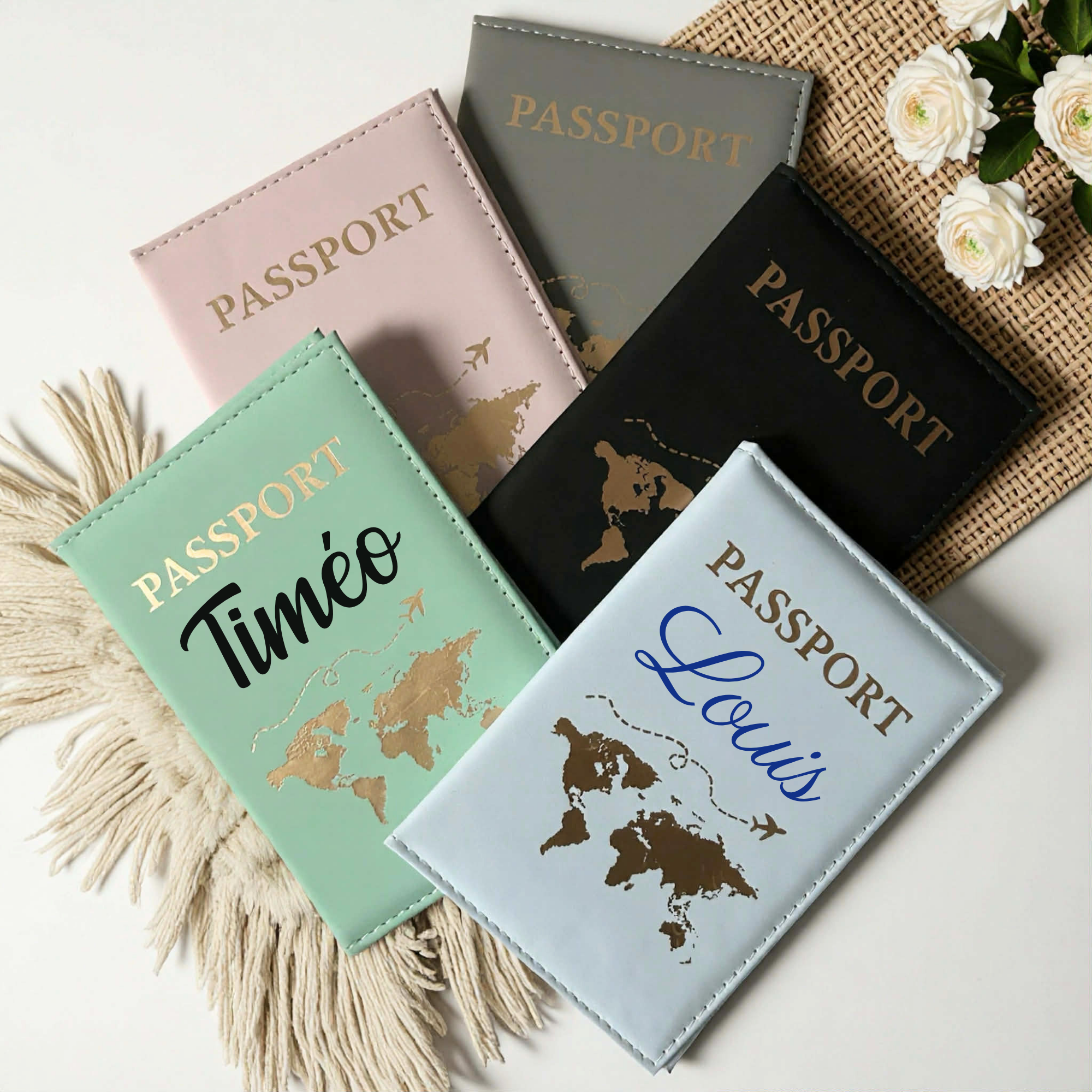 Passeport - Cuir (5 couleurs)